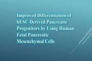 Improved Differentiation of hESC-Derived Pancreatic Progenitors by Using Human Fetal Pancreatic Mesenchymal Cells in a Micro-scalable Three-Dimensional Co-culture System