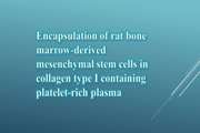 Encapsulation of rat bone marrow‑derived mesenchymal stem cells (rBMMSCs) in collagen type I containing platelet‑rich plasma for osteoarthritis treatment in rat model