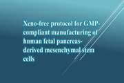Xeno-free protocol for GMP-compliant manufacturing of human fetal pancreas-derived mesenchymal stem cells