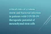 Critical roles of cytokine storm and bacterial infection in patients with COVID‑19: therapeutic potential of mesenchymal stem cells