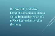 The Probable Protective Effect of Photobiomodulation on the Immunologic Factor’s mRNA Expression Level in the Lung: An Extended COVID-19 Preclinical and Clinical Meta-analysis