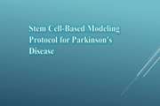 Stem Cell-Based Modeling Protocol for Parkinson's Disease