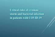 Critical roles of cytokine storm and bacterial infection in patients with COVID-19
