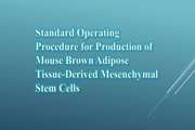 Standard Operating Procedure for Production of Mouse Brown Adipose Tissue-Derived Mesenchymal Stem Cells