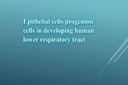 Epithelial cells/progenitor cells in developing human lower respiratory tract: Characterization and transplantation to rat model of pulmonary injury