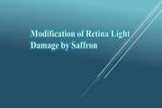 Modification of Retina Light Damage by Saffron