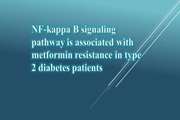 NF-kappa B signaling pathway is associated with metformin resistance in type 2 diabetes patients