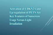 Activation of CDKN2A and Up-regulation of PETN Are Key Features of Sunscreen Usage Versus Light Irradiation 