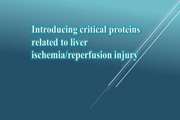 Introducing critical proteins related to liver ischemia/reperfusion injury