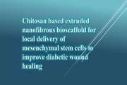 Chitosan based extruded nanofibrous bioscaffold for local delivery of mesenchymal stem cells to improve diabetic wound healing