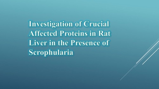 Investigation of Crucial Affected Proteins in Rat Liver in the Presence of Scrophularia
 {faces}