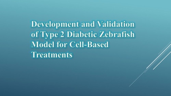 Development and Validation of Type 2 Diabetic Zebrafish Model for Cell-Based Treatments {faces}