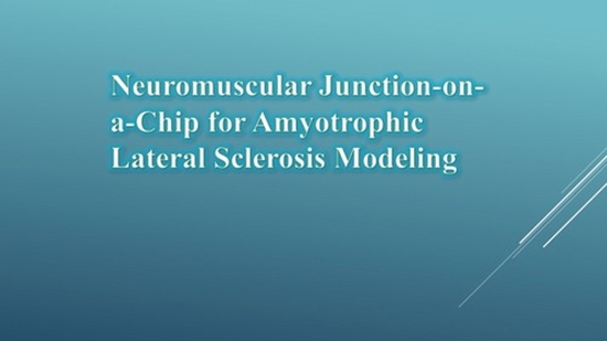 Neuromuscular Junction-on-a-Chip for Amyotrophic Lateral Sclerosis Modeling {faces}