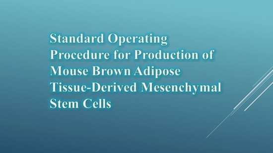 Standard Operating Procedure for Production of Mouse Brown Adipose Tissue-Derived Mesenchymal Stem Cells {faces}