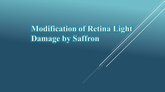 Modification of Retina Light Damage by Saffron {faces}