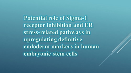 Potential role of Sigma-1 receptor inhibition and ER stress-related pathways in upregulating definitive endoderm markers in huma {faces}