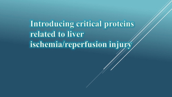 Introducing critical proteins related to liver ischemia/reperfusion injury  {faces}