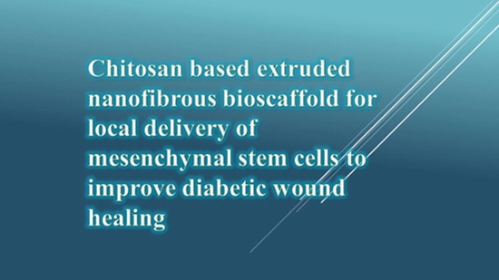 Chitosan based extruded nanofibrous bioscaffold for local delivery of mesenchymal stem cells to improve diabetic wound healing {faces}