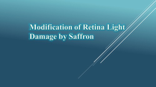 Modification of Retina Light Damage by Saffron