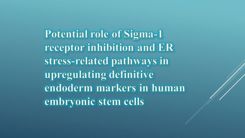 Potential role of Sigma-1 receptor inhibition and ER stress-related pathways in upregulating definitive endoderm markers in human embryonic stem cells