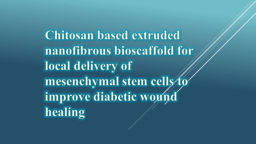 Chitosan based extruded nanofibrous bioscaffold for local delivery of mesenchymal stem cells to improve diabetic wound healing